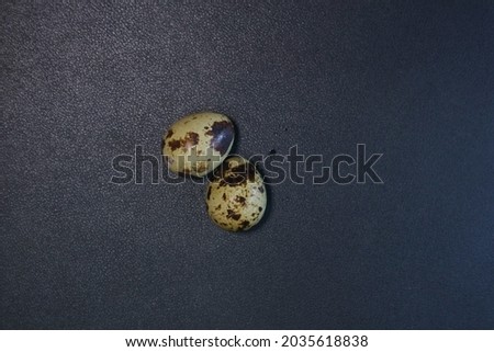 two quail eggs on a black background photo