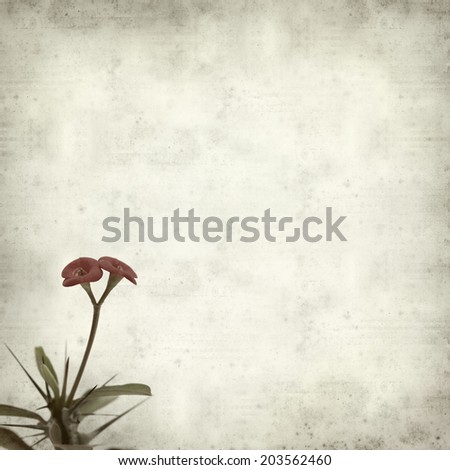 textured old paper background with 