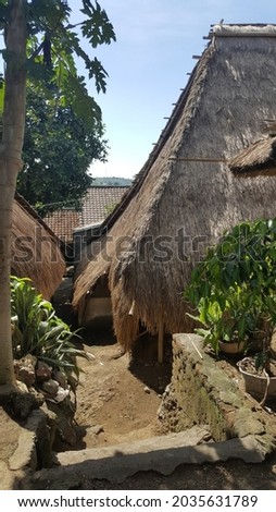 Housing on Sade Village Lombok, Indonesia. The roof is made of reed grass