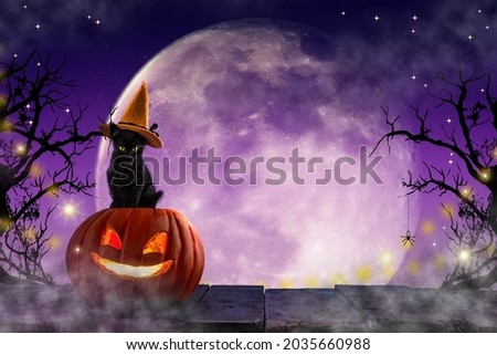 Halloween party. Black cat and carved pumpkin lantern jack wearing witch's hat among candles and night lights. Festive layout with copy space empty background for design cards, posters, invitations