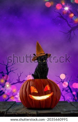 Halloween party. Black cat and carved pumpkin lantern jack wearing witch's hat among candles and night lights. Vertical layout with copy space empty background for design cards, posters, invitations