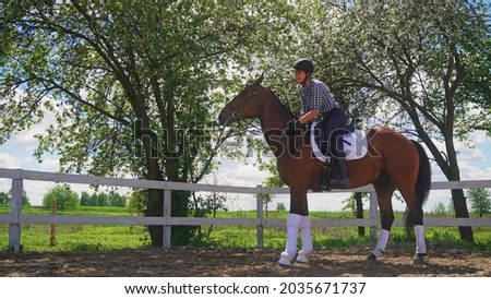a young girl with a helmet on her head is sitting on a horse in the shade of trees. High-quality photo