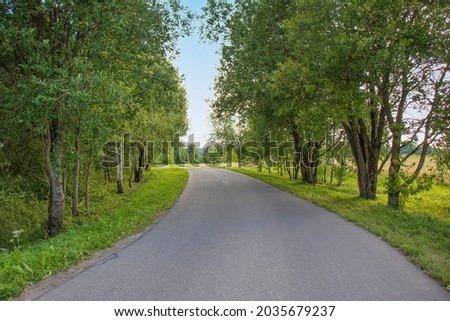 Beautiful summer landscape in the countryside on a sunny day. Gray asphalt curved road, picturesque forest, green grass and blue sky. Colorful nature. A quiet journey.