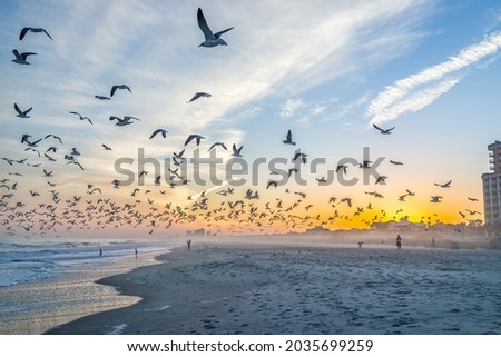 Colorful sunset at Myrtle Beach city by Atlantic ocean with people, many flocks of seagulls in flight flying near shore coast by condo apartment buildings in South Carolina resort town Royalty-Free Stock Photo #2035699259