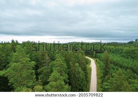 Aerial view from drone of idyllic country road leading through gallant pine and birch forests in dark green colors in cloudy rainy weather 