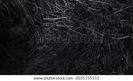 Long-exposure shot of severe snow with intense motion blur, blowing snow and low visibility. isolated on the black background.