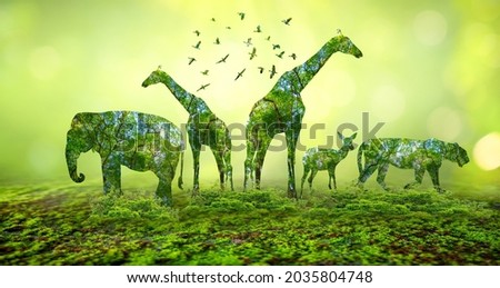 forest silhouette in the shape of a wild animal wildlife and forest conservation concept Royalty-Free Stock Photo #2035804748