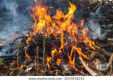 abstract background of fire from burning dry leaf garbage.