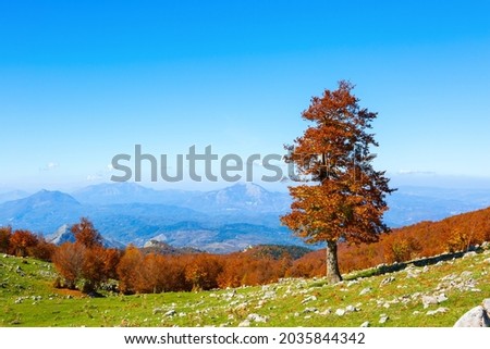 Sunny day in autumn mountains. View from Serra Di Crispo, Pollino National Park, southern Apennine Mountains,  Italy. Royalty-Free Stock Photo #2035844342