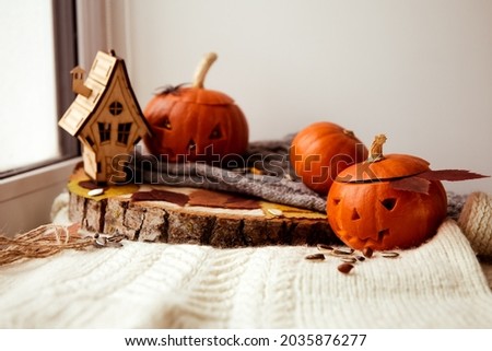 Halloween pumpkin. Autumn colors. Still life. Preparation for the celebration. Happy Halloween and autumn concept.