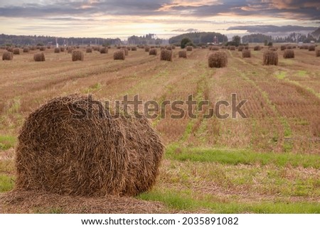 Haystack on the background of oil pumps after evening. Copy space.