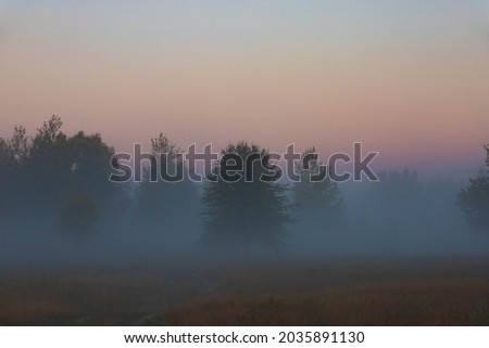 A picturesque autumn landscape, trees against the background of a misty dawn, in a meadow near the river bank.