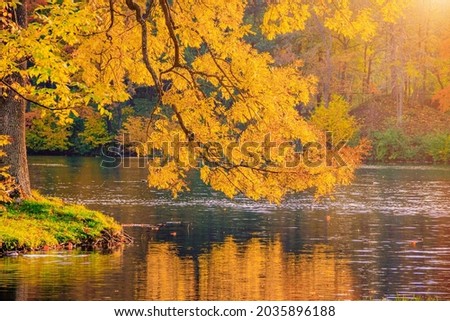 Autumn park landscape with a lake. Autumn. A new season. Beautiful landscape. Yellow trees. Photos for printed products . An article about autumn . Park