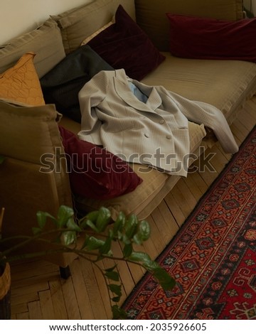 a blue plaid jacket is lying on a brown sofa with colored pillows on the floor there is a carpet and green plants                               