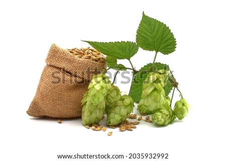 Barley spilling from a hessian bag and sprig of green hops over a white background, components of beer production Royalty-Free Stock Photo #2035932992