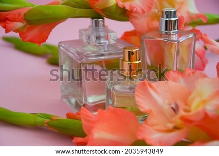 perfume bottle, flower on colored background