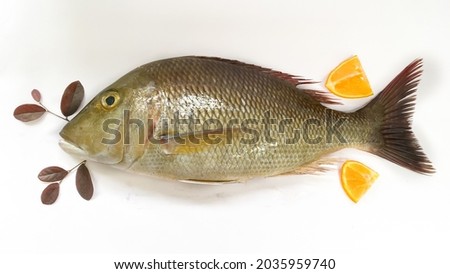 Fresh Emperor Fish decorated on a White Background.Selective focus. Royalty-Free Stock Photo #2035959740
