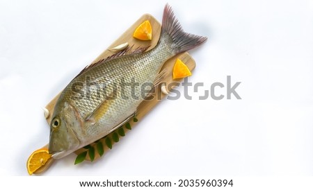 Fresh Emperor Fish decorated with herbs and vegetables on a wooden pad.White Background Royalty-Free Stock Photo #2035960394