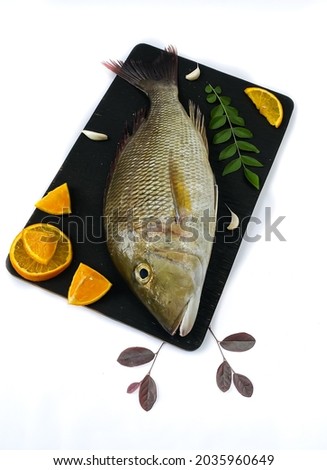 Fresh Emperor Fish decorated with herbs and vegetables on a black pad.White Background Royalty-Free Stock Photo #2035960649