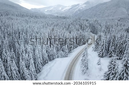 Aerial drone view above a forest road winding through a  snowed coniferous forest. The crests of Parang Mountains are covered in snow. Hazy winter day. Carpathia, Romania. Royalty-Free Stock Photo #2036105915