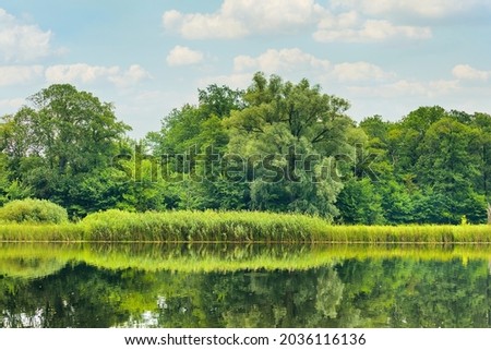 beautiful view of the river and the lush green vegetation around. Tranquil scene with blue sky and green tree in a bright day