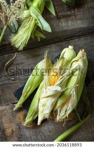 Healthy ripe corn on a wooden kitchen table. The concept of a organic menu and autumn harvesting vegetables. Top view flat lay background. 