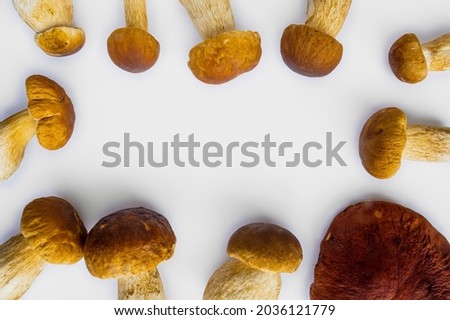 Studio shot of isolated fresh brown delicious autumn vegetarian white boletus mushrooms on white background with copy space in center 
