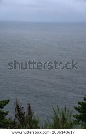 beach ocean water view cliffside mountain hill viewpoint pacific ocean greenery trees plants look out 