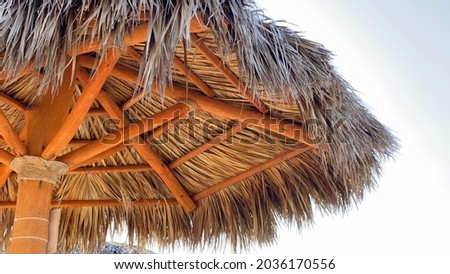 Custom Palm Tree Umbrella with natural daylight