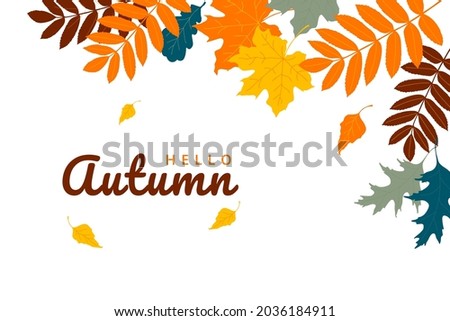Hello Autumn background. Bright color leaves on white background. Seasonal backdrop. Vector illustration
