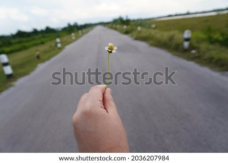 female hand or male hand holding a small flower