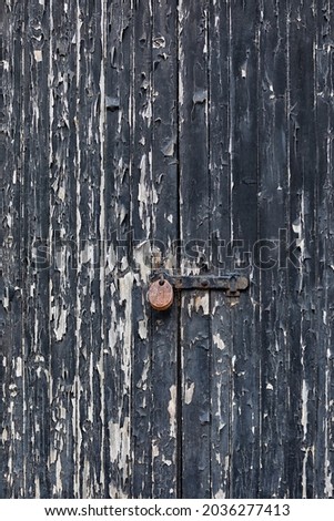Background texture of old wooden doors with peeling paint, locked with a clasp and rusty padlock
