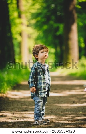 little toddler boy stands on a footpath in the forest