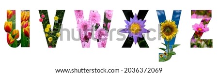 Floral letters. The letters u, v, w, x, y, z, are made from colorful flower photos. A collection of wonderful flora letters for unique spring decorations. isolated background with clipping path