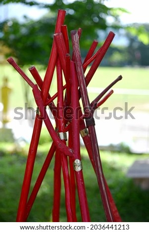 A red scout prong stick with a brass sheath in the shape of a tiger's head gathered in the middle of the field against a blurred background.