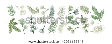 Christmas pine branch and cone, evergreen tree, fir, cedar twig vector icon, winter plants, New Year wood, holiday decoration. Hand drawn illustration Royalty-Free Stock Photo #2036633348