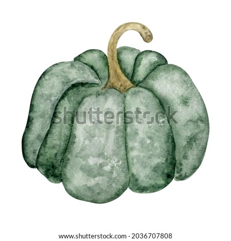 Pumpkin watercolor illustration. Hand drawn harvest festival art.