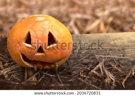 Jack-o-Lantern with worms on wooden table