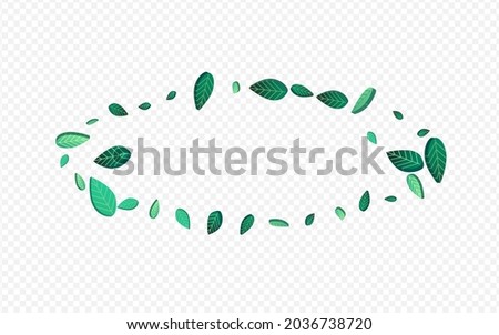 Olive Foliage Swirl Vector Transparent Background Plant. Wind Greens Backdrop. Swamp Leaves Motion Template. Leaf Falling Border.