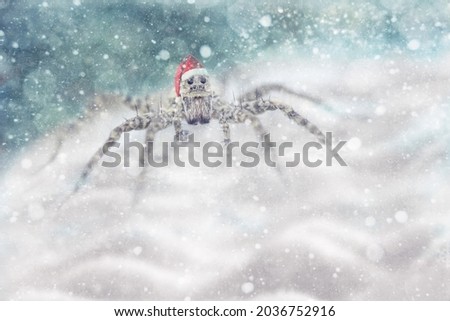 Spider Santa Claus. Funny spider in a Santa Claus hat. It's snowing all around. Macro photo of a spider. New Year and Christmas. Spider Santa Claus. Royalty-Free Stock Photo #2036752916