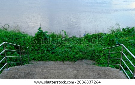 stairs leading down to the river covered with grass blocking the path.