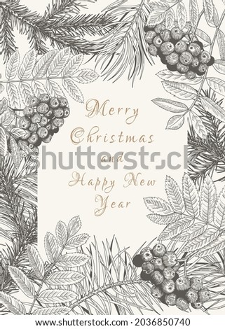 Christmas greeting card with mountain ash, pine and fir branches. Rectangular frame with winter plants. Vector illustration. Botanical  background. Black and White.