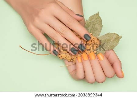 Female hands with green and yellow autumn nail design. Female hands hold dry yellow autumn leaves. Woman hands on pale green background Royalty-Free Stock Photo #2036859344