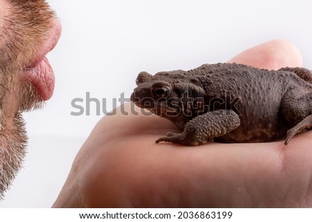 the lips of a man who is going to kiss a big toad sitting on his palm, close-up on a white background