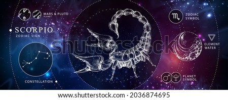 Modern magic witchcraft card with astrology Scorpio zodiac sign. Realistic hand drawing scorpion illustration. Zodiac characteristic Royalty-Free Stock Photo #2036874695