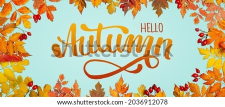 Autumn background. A frame made of autumn leaves. Autumn banner. Horizontal. Top view.