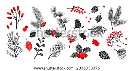 Christmas vector plants, holly winter decor, christmas tree, pine, leaves branches, holiday set isolated on white background. Red and black colors. Vintage nature illustration Royalty-Free Stock Photo #2036933375