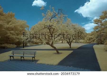 outdoor landscape infrared nature walk