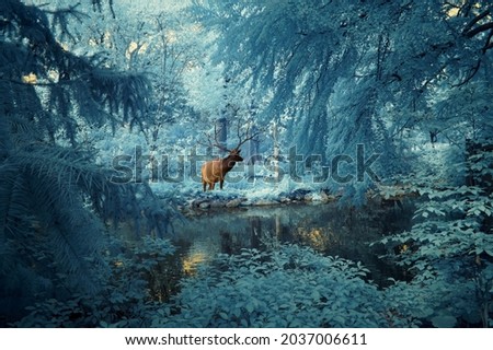 surreal fantasy infrared landscape photography