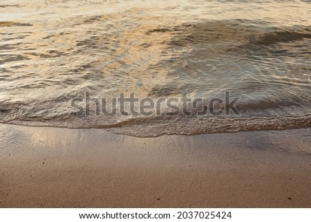 sandy shore of a river or sea or lake at sunset, warm, soft waves